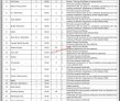 Jobs in Peoples Medical College Hospital Nawabshah
