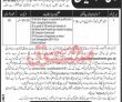 Jobs In Peshawar High Court