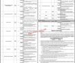 Jobs In Peshawar Institute Of Cardiology Mti Peshawar