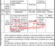 Jobs in Peshawar University