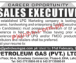 Jobs in Petroleum Gas Pvt Ltd