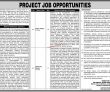 Jobs In Pir Abdul Qadir Shah Jeelani Institute Of Medical