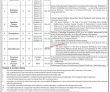 Jobs In Population Welfare Department Khyber Pakhtunkhwa