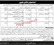 Jobs In Population Welfare Department
