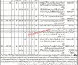 Jobs In Population Welfare Department