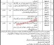 Jobs In Port Qasim Authority
