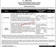 Jobs In Postal Life Insurance Company Limited Plic