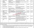 Jobs In Postal Life Insurance Company Limited Plic
