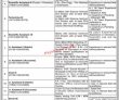 Jobs In Prestigious Public Sector Organization Paec