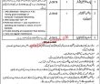 Jobs In Prestigious Sector