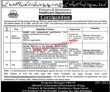 Jobs In Primary & Secondary Healthcare Department