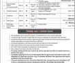 Jobs in Prime Minister’s Office Government of Pakistan