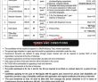 Jobs in Prime Minister’s Office