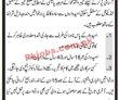 Jobs in Principle Post Graduate College