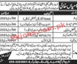 Jobs In Private Company