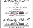 Jobs In Private Organization