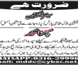 Jobs in Private Sector Lahore