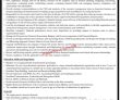 Jobs in Private Sector Sindh