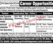 Jobs In Progressive Private Sector Organization