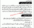 Jobs in Progressive Sector Islamabad