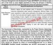 Jobs in Project Management Unit