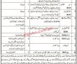 Jobs in Prosecution Department