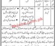 Jobs In Public Sector Development Project