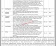 Jobs in Public Sector Organization Government of Khyber Pakhtunkhwa