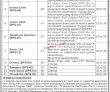 Jobs in Public Sector Organization Khyber Pakhtunkhwa