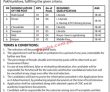 Jobs in Public Sector Organization Khyber Pakhtunkhwa