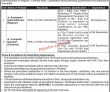 Jobs in Public Sector Organization PAEC