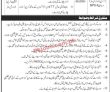 Jobs In Public Sector Organization Rawalpindi