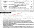 Jobs In Public Sector Organization