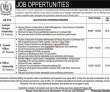 Jobs in Public Sector Organization