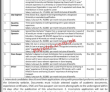 Jobs in Public Sector Organization