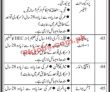 Jobs In Public Sector Project Karachi