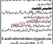 Jobs In Publisher Sector