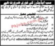 Jobs In Publisher Sector