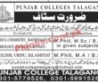 Jobs In Punjab Colleges