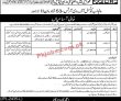 Jobs in Punjab Council of the Arts