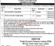 Jobs In Punjab Economic Research Institute
