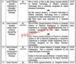 Jobs in Punjab Forensic Science Agency Lahore