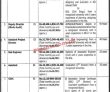 Jobs In Punjab Government Servants Housing Foundation