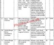 Jobs In Punjab Halal Development Agency Phda