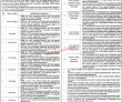 Jobs In Punjab Health Facilities Management Company Government Of The