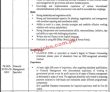 Jobs In Punjab Human Capital Investment Project