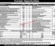 Jobs in Punjab Information Technology Board PITB