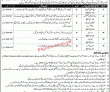 Jobs in Punjab Institute of Language Art & Culture