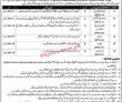 Jobs in Punjab Institute of Language Arts & Culture