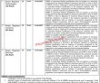 Jobs In Punjab Institute Of Neurosciences Pins Lahore